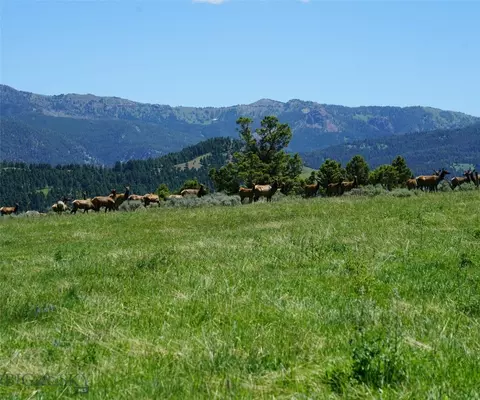 tbd Timberloft, Big Sky, MT 59716 photo 29