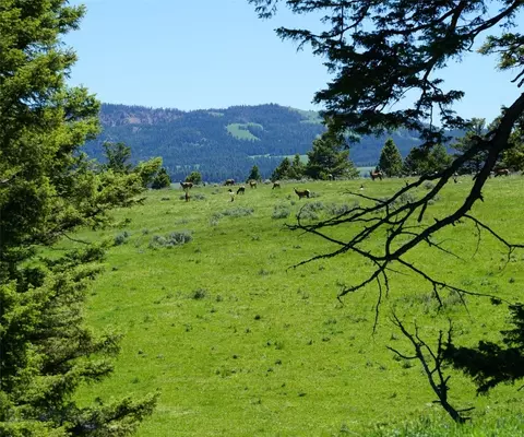 tbd Timberloft, Big Sky, MT 59716 photo 22