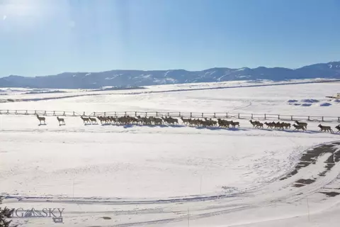 Other - 855 Deer Path, Bozeman, MT 59718 photo 18 of 20