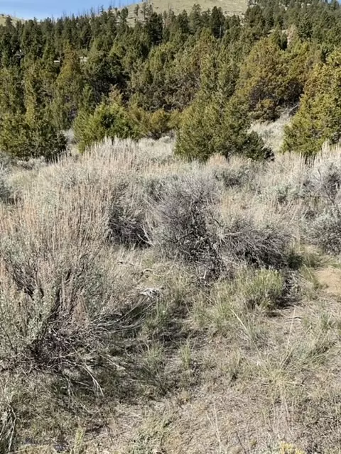 tbd Friendspring Rd, Whitehall, MT 59759 photo 12