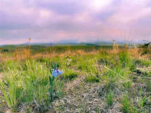 1269 Open Range Ln, Divide, MT 59727 photo 9