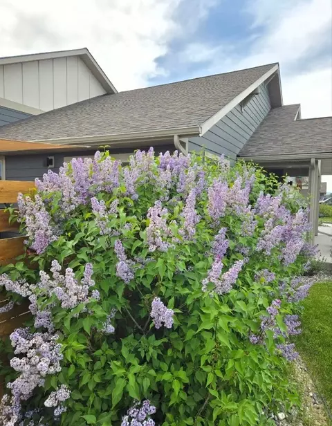 Exterior - 1707 Dillon, Belgrade, MT 59714 photo 6 of 12