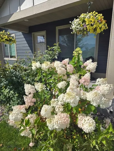 Exterior - 1707 Dillon, Belgrade, MT 59714 photo 7 of 12