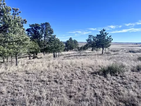 Nhn Sando Rd, Roundup, MT 59072 photo 15