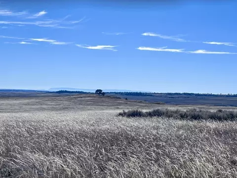 Nhn Sando Rd, Roundup, MT 59072 photo 12