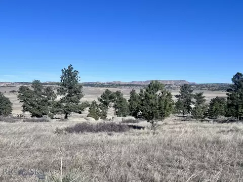 Nhn Sando Rd, Roundup, MT 59072 photo 4