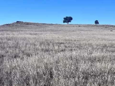Nhn Sando Rd, Roundup, MT 59072 photo 14