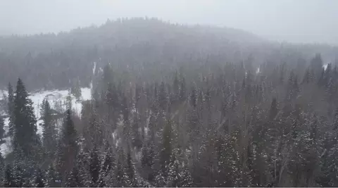 121 Twin Crk, De Borgia, MT 59830