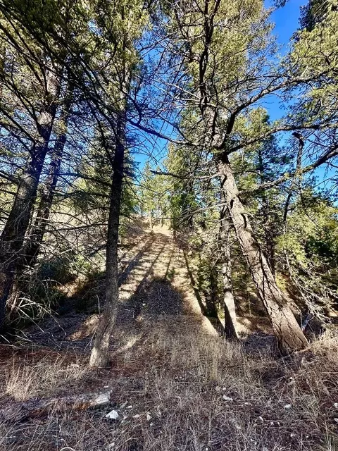 tbd Martinez Gulch Rd, Clancy, MT 59634 photo 5
