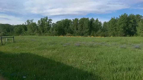 779 Cayuse Trl, Bozeman, MT 59715 photo 5