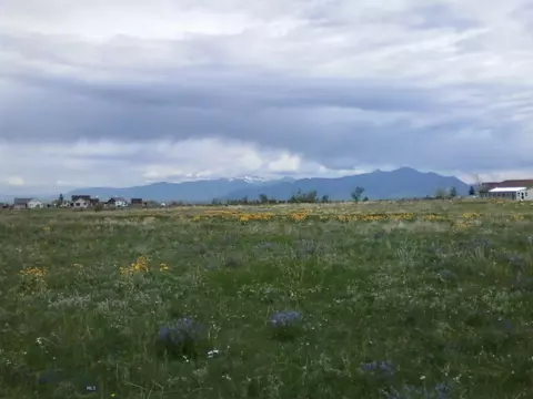 779 Cayuse Trl, Bozeman, MT 59715 photo 3