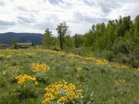 779 Cayuse Trl, Bozeman, MT 59715