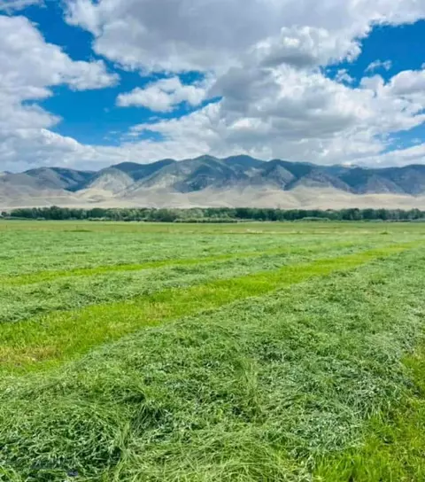 tbd Schoolhouse Rd, Glen, MT 59732