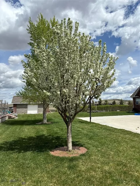 Exterior - 3 Windflower, Three Forks, MT 59752 photo 9 of 16