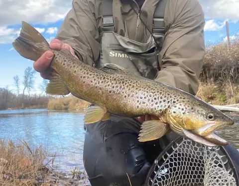 Other - 67 Upper Rainbow Rd, Bozeman, MT 59718 photo 26 of 28