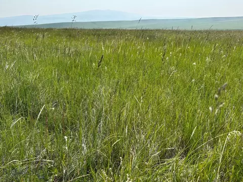 tbd Ubet Rd, Buffalo, MT 59418 photo 4
