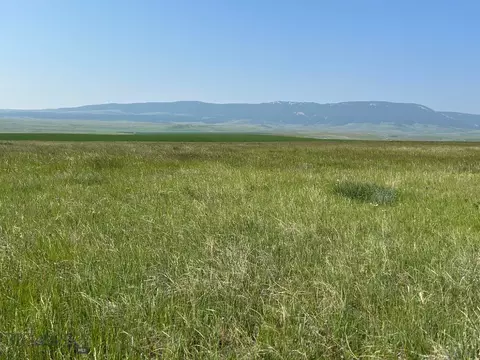 tbd Ubet Rd, Buffalo, MT 59418 photo 2