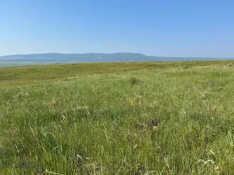 tbd Ubet Rd, Buffalo, MT 59418 photo 6
