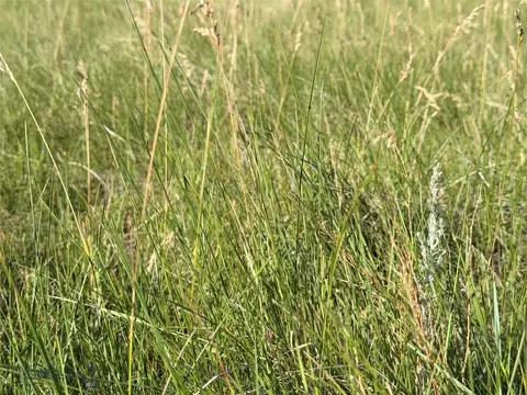 tbd Ubet Rd, Buffalo, MT 59418 photo 20