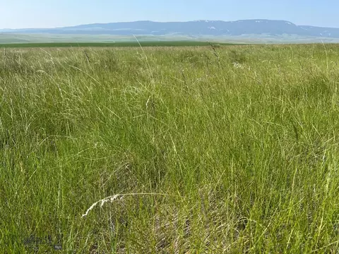 tbd Ubet Rd, Buffalo, MT 59418 photo 3