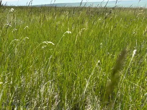tbd Ubet Rd, Buffalo, MT 59418 photo 5