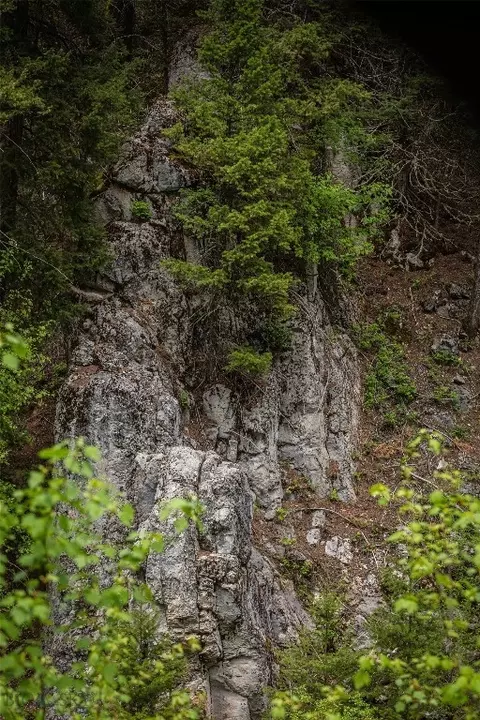 4567 Garnet Range, Drummond, MT 59832