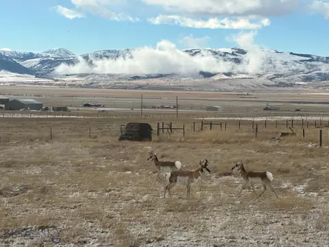 tbd Lockheed #LOT 8A, Ennis, MT 59729 photo 10