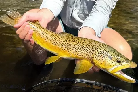 Other - 69 Upper Rainbow, Bozeman, MT 59718 photo 13 of 31