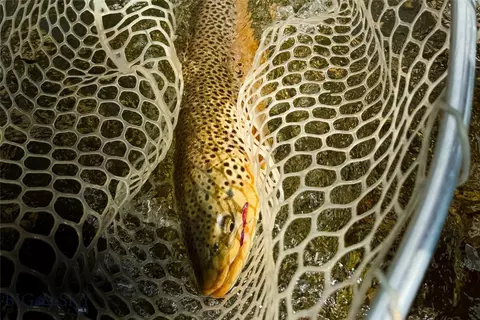 Other - 69 Upper Rainbow, Bozeman, MT 59718 photo 2 of 31