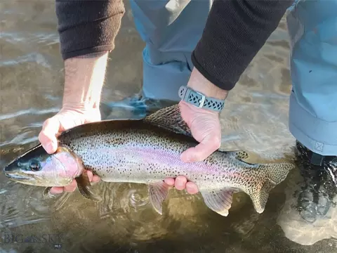 Other - 69 Upper Rainbow, Bozeman, MT 59718 photo 14 of 31