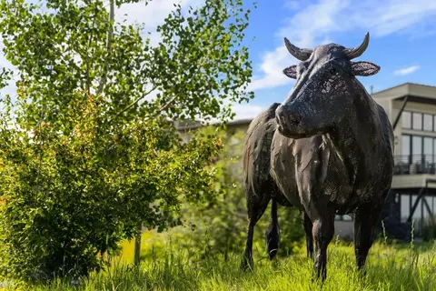 tbd Tillyfour, Bozeman, MT 59718