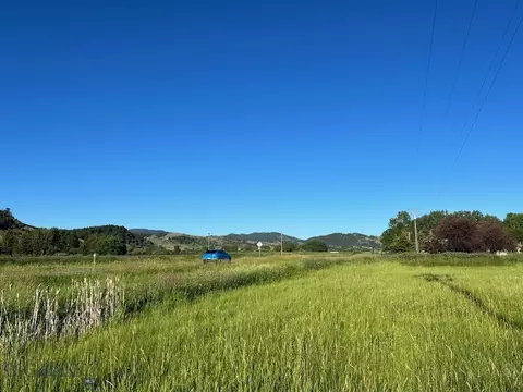 710 Osterman, Bozeman, MT 59715 photo 4