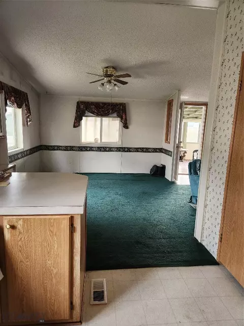 Other - 514 N Harrison St, Lima, MT 59739 photo 21 of 24