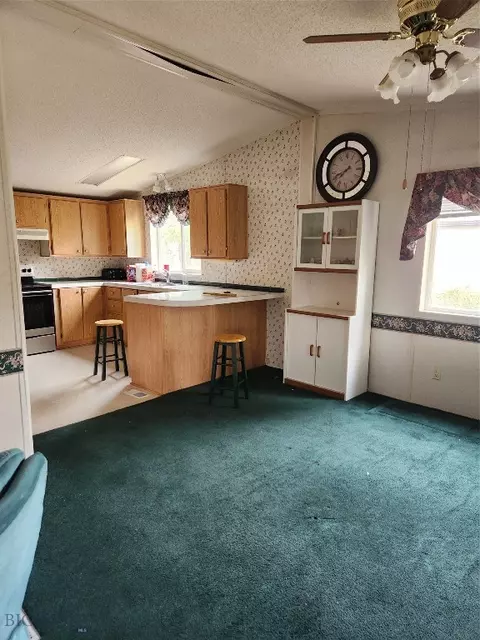 Other - 514 N Harrison St, Lima, MT 59739 photo 8 of 24