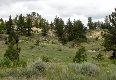 3808 Moon Creek Rd, Miles City, MT 59301