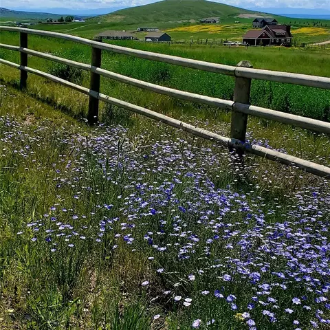 Other - 109 Wild Rose Loop, Three Forks, MT 59752 photo 17 of 19