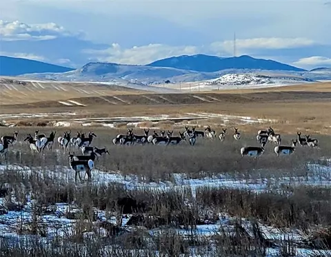 Other - 109 Wild Rose Loop, Three Forks, MT 59752 photo 19 of 19
