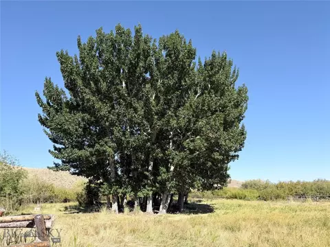 Other - 7535 Birch Creek Rd, Dillon, MT 59725 photo 29 of 40