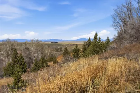tbd Pony Original Townsite, Pony, MT 59747 photo 31