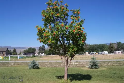 Other - 13 Sharon Loop, Townsend, MT 59644 photo 17 of 17