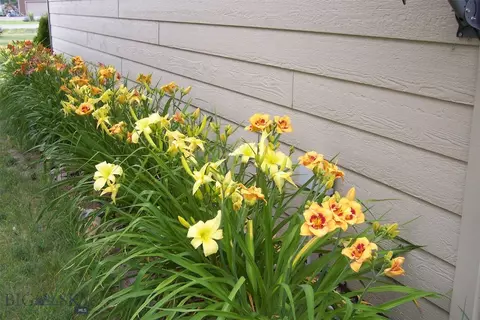 Other - 13 Sharon Loop, Townsend, MT 59644 photo 13 of 17