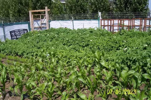 Other - 13 Sharon Loop, Townsend, MT 59644 photo 10 of 17