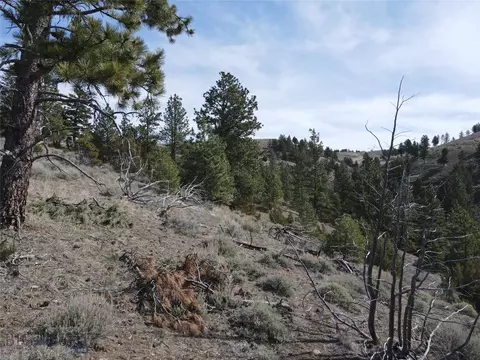 55 Upper Ross Gulch, Townsend, MT 59644 photo 11