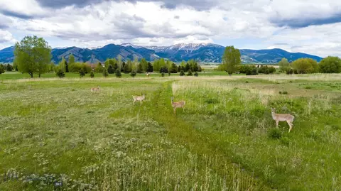 Undisclosed, Bozeman, MT 59715 photo 27