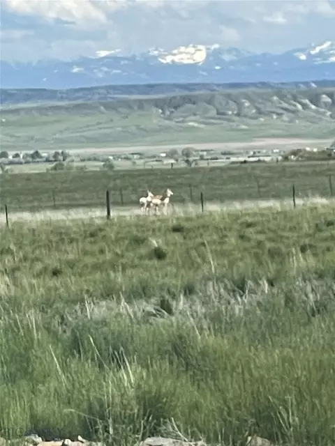 Other - 43 Lewis Dr, Three Forks, MT 59752 photo 30 of 31