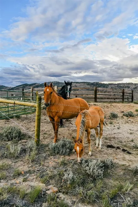 Other - 22869 Mt Highway 278, Dillon, MT 59725 photo 14 of 23