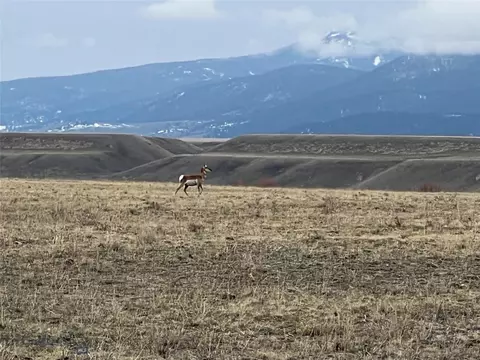lot70 Sphinx Mountain Sub, Cameron, MT 59720 photo 5