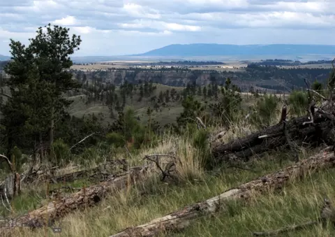 tbd Wild Turkey Ridge Rd, Columbus, MT 59019