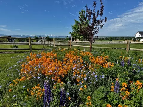 Exterior - 950 White Horse Loop, Bozeman, MT 59718 photo 11 of 21