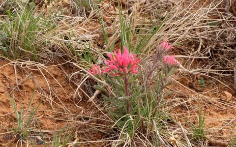 tbd Deadman Creek Rd, Bridger, MT 59014 photo 9